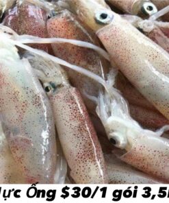 Mực Ống (1 gói 3,5 lbs)