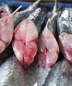 Cá Thu King Tươi (1lb)